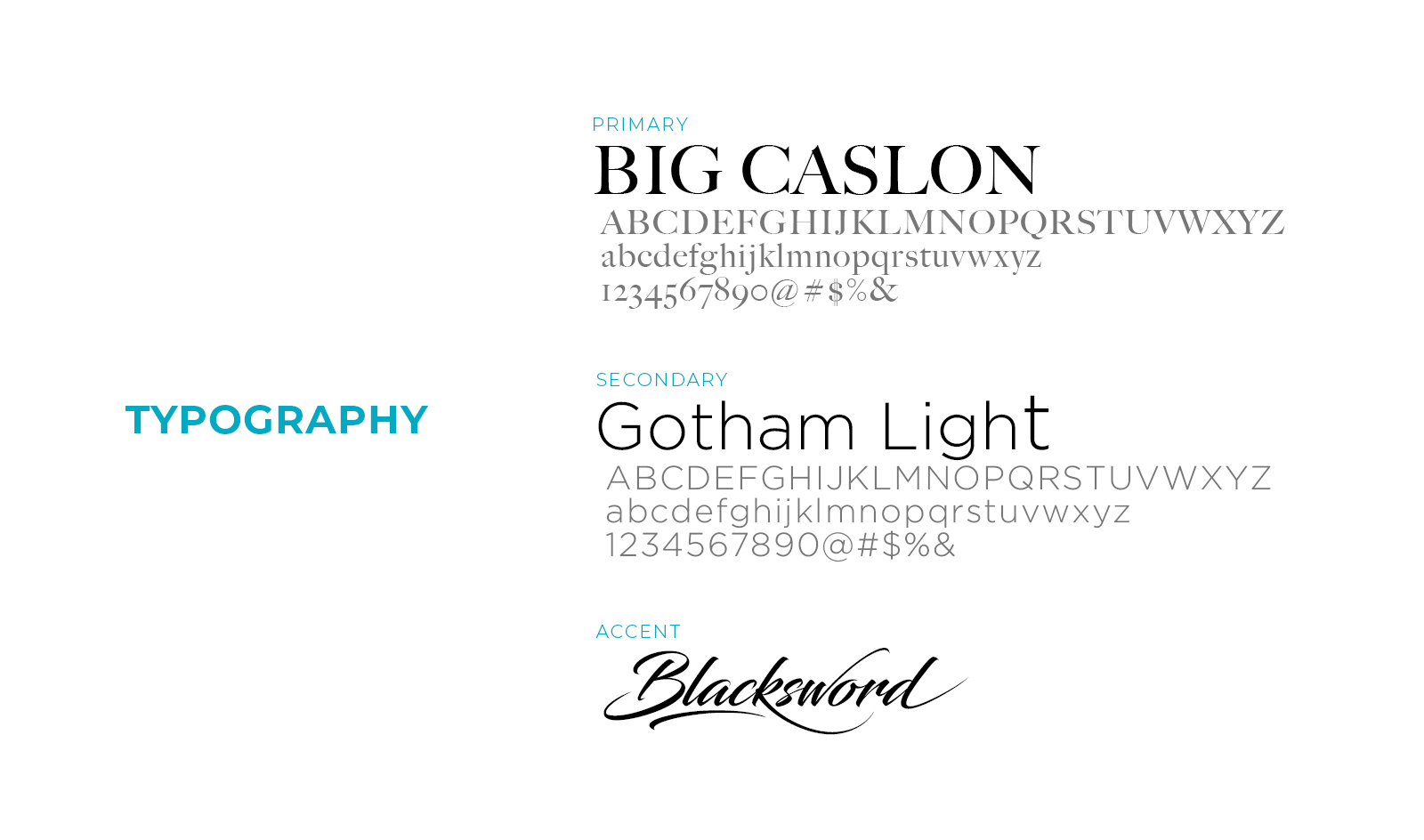 Brand Identity & Development - Brand Style Guide - Cassondra Luxury Hair - Palm Island Creative