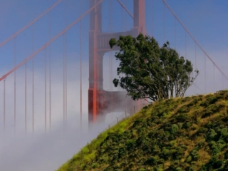 Travel &amp; Tourism Photography - Website Design for Travel Industry - Palm Island Creative