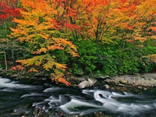 Travel &amp; Tourism Photography - Website Design for Travel Industry - Palm Island Creative