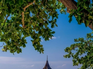 Travel &amp; Tourism Photography - Website Design for Travel Industry - Palm Island Creative