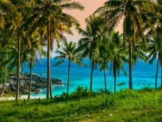 Travel &amp; Tourism Photography - Website Design for Travel Industry - Palm Island Creative