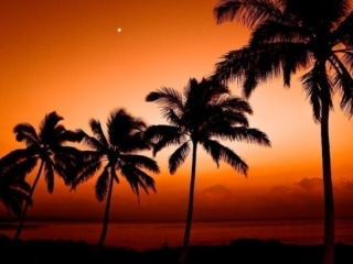 Travel &amp; Tourism Photography - Website Design for Travel Industry - Palm Island Creative