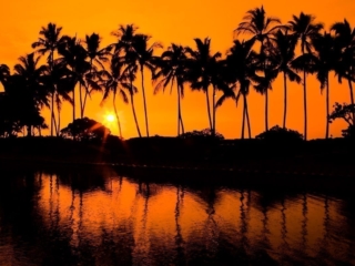 Travel &amp; Tourism Photography - Website Design for Travel Industry - Palm Island Creative