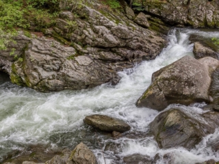 Travel &amp; Tourism Photography - Website Design for Travel Industry - Palm Island Creative