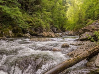 Travel &amp; Tourism Photography - Website Design for Travel Industry - Palm Island Creative