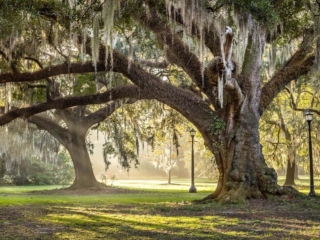 Travel &amp; Tourism Photography - Website Design for Travel Industry - Palm Island Creative