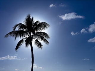 Travel &amp; Tourism Photography - Website Design for Travel Industry - Palm Island Creative