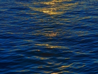 Travel &amp; Tourism Photography - Website Design for Travel Industry - Palm Island Creative