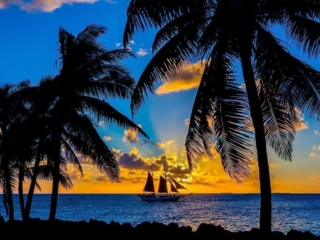 Travel &amp; Tourism Photography - Website Design for Travel Industry - Palm Island Creative