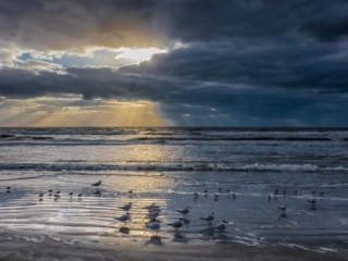 Travel &amp; Tourism Photography - Website Design for Travel Industry - Palm Island Creative