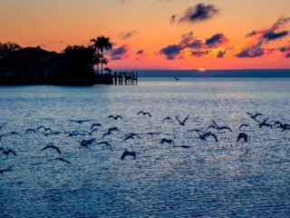 Travel &amp; Tourism Photography - Website Design for Travel Industry - Palm Island Creative