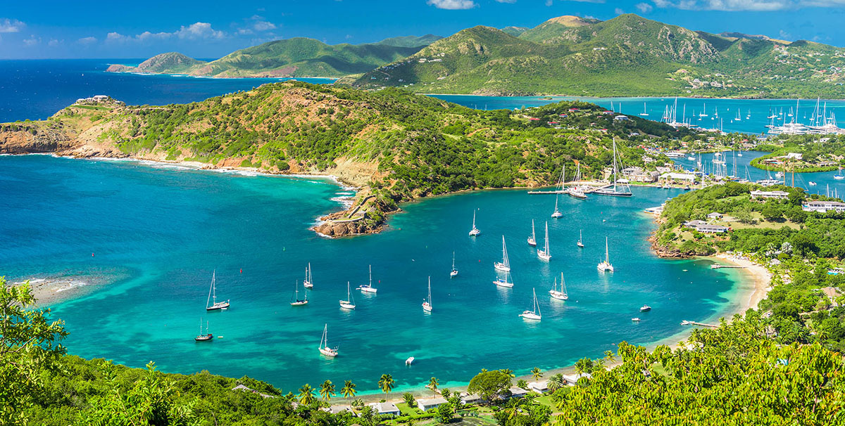 About Us - Discover - Palm Island Creative