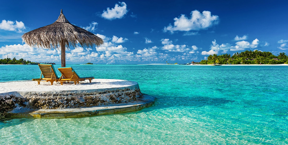 Brand Identity - Design Services - Palm Island Creative