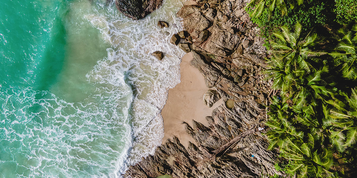 Island Journal Blog - Discover - Palm Island Creative