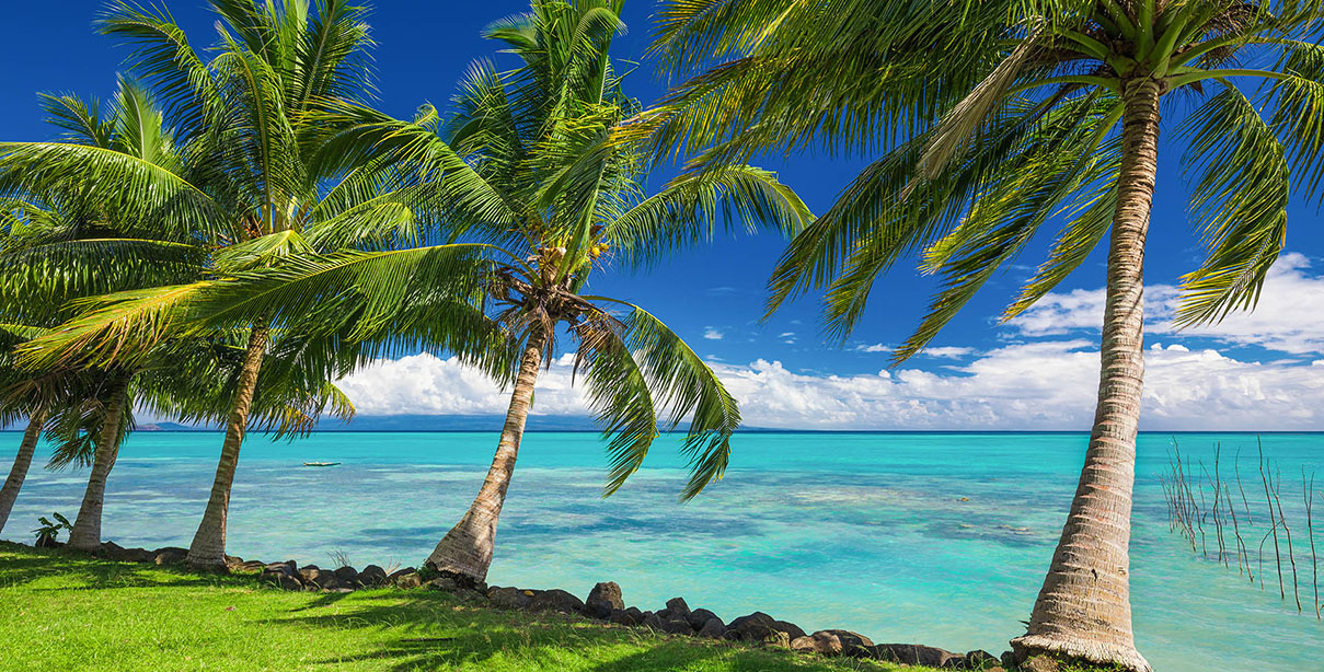 Photography - Design Services - Palm Island Creative