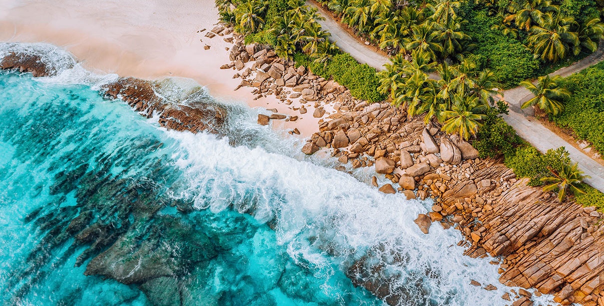 Reputation Management - Digital Marketing Services - Palm Island Creative