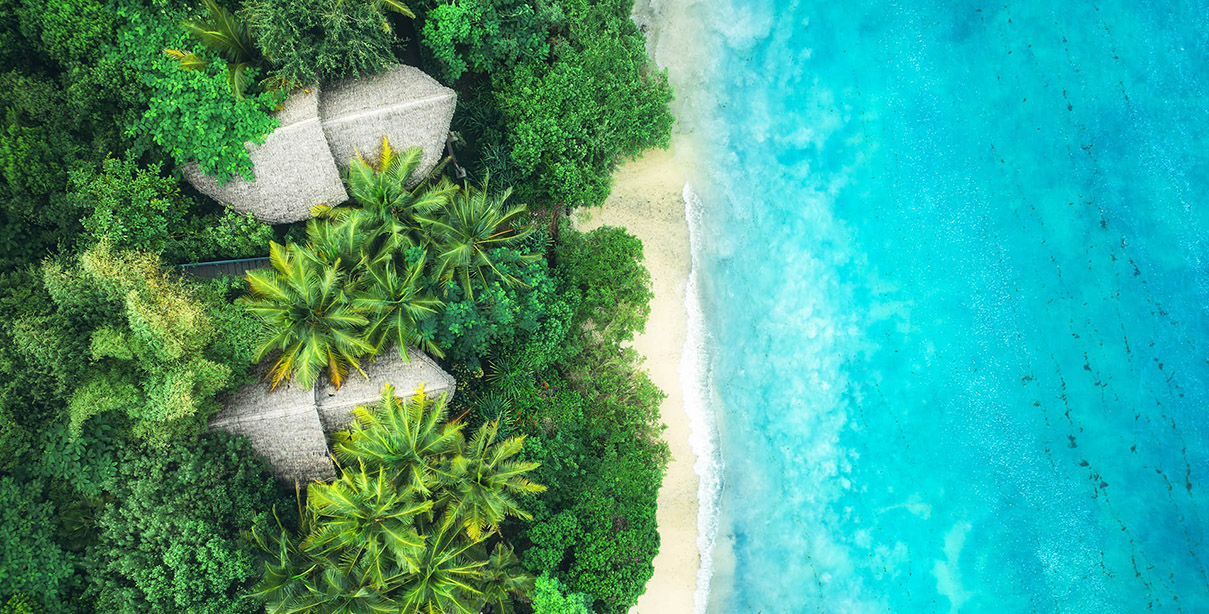 SEO & AI Search - Search Engine Optimization Strategy - Digital Marketing Services - Palm Island Creative