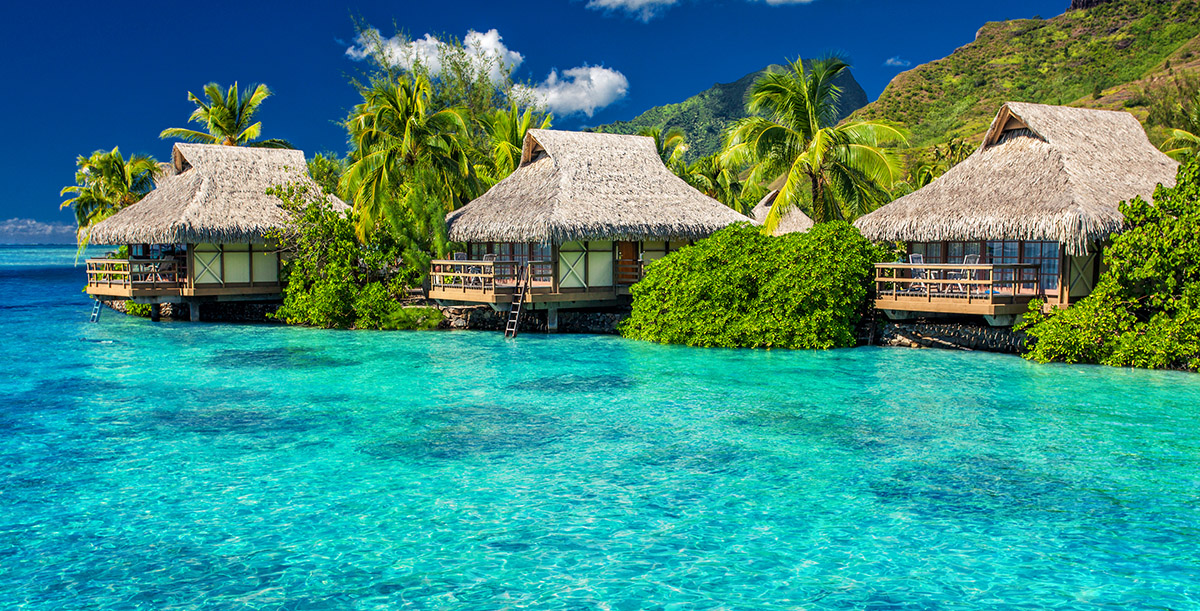 Brand Marketing - Thrive - Palm Island Creative