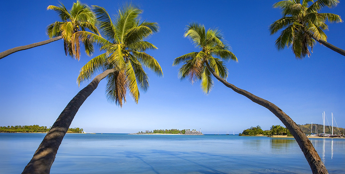 Investment Framework - Explore - Palm Island Creative